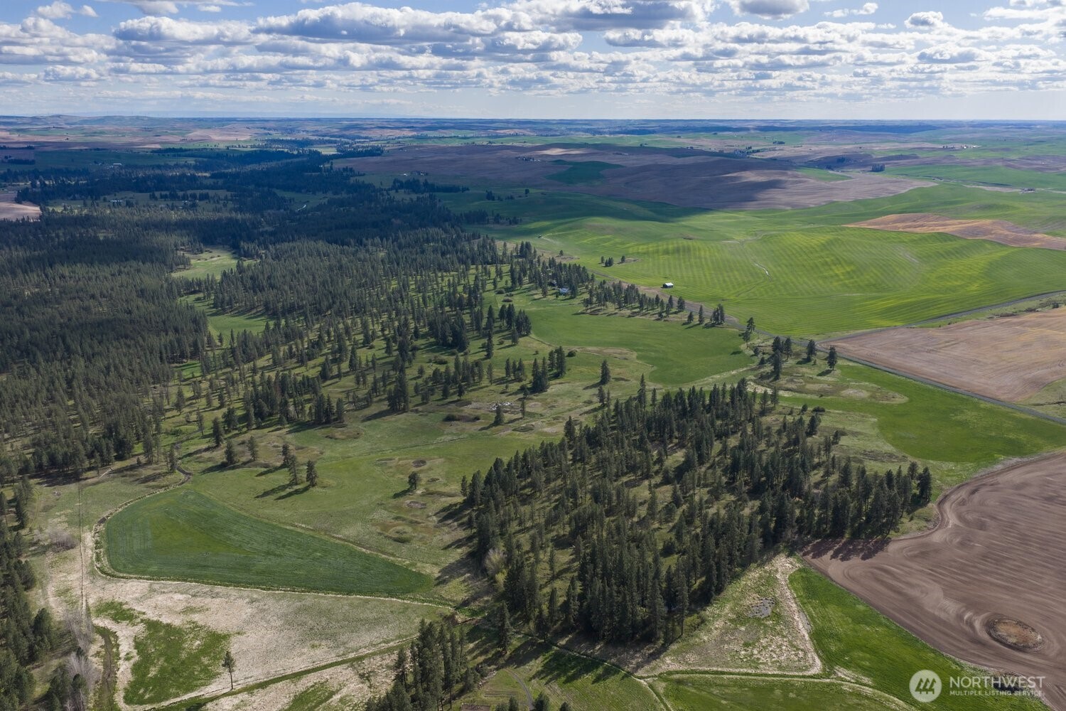 32312 North Pine Creek Road S Spangle WA 99031