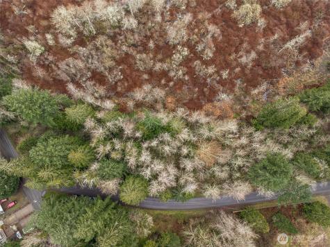 32621 Benbow Drive E Graham WA 98338