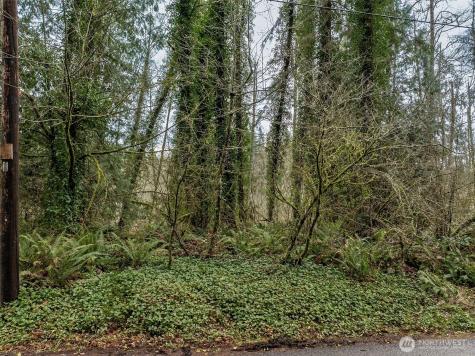 32621 Benbow Drive E Graham WA 98338