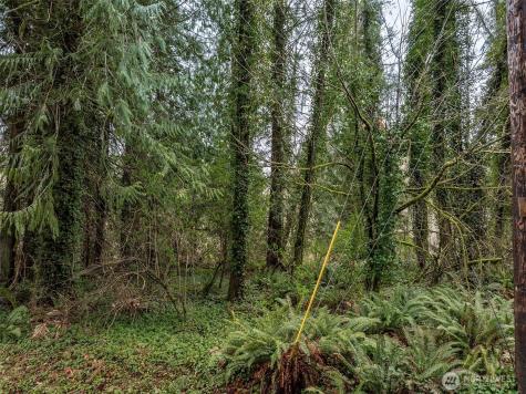 32621 Benbow Drive E Graham WA 98338