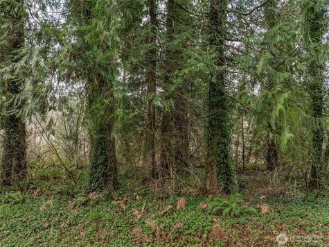 32621 Benbow Drive E Graham WA 98338