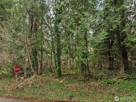 32621 Benbow Drive E Graham WA 98338