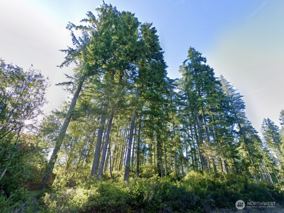 5011 E Rasor Road Belfair WA 98528