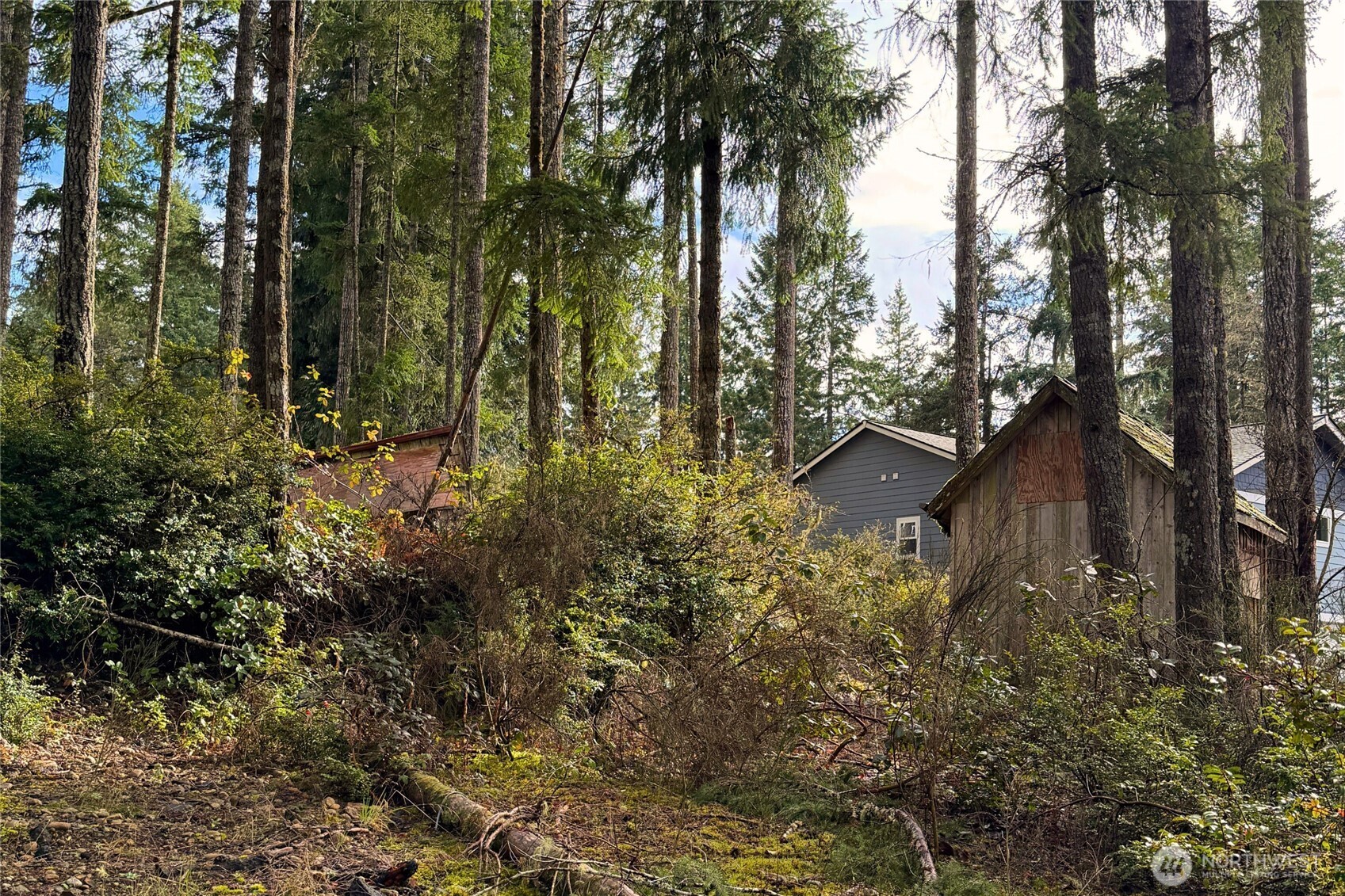 5011 E Rasor Road Belfair WA 98528