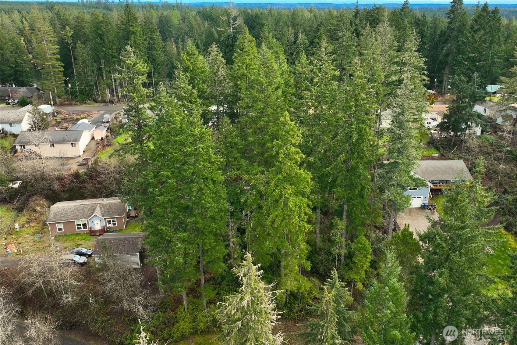 5011 E Rasor Road Belfair WA 98528