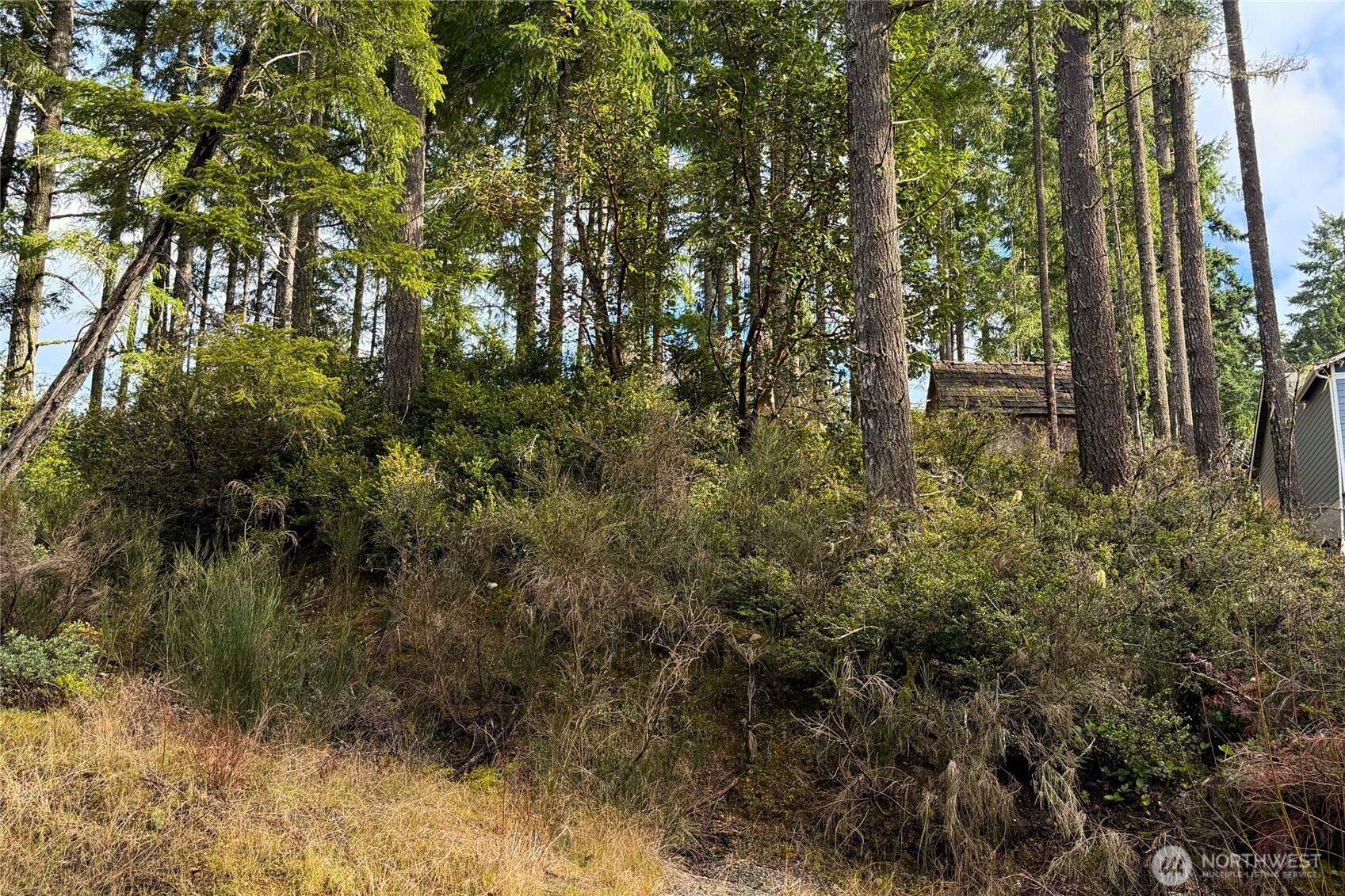 5011 E Rasor Road Belfair WA 98528