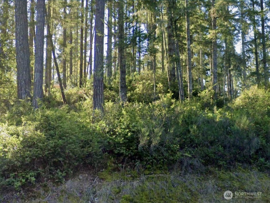 5011 E Rasor Road Belfair WA 98528