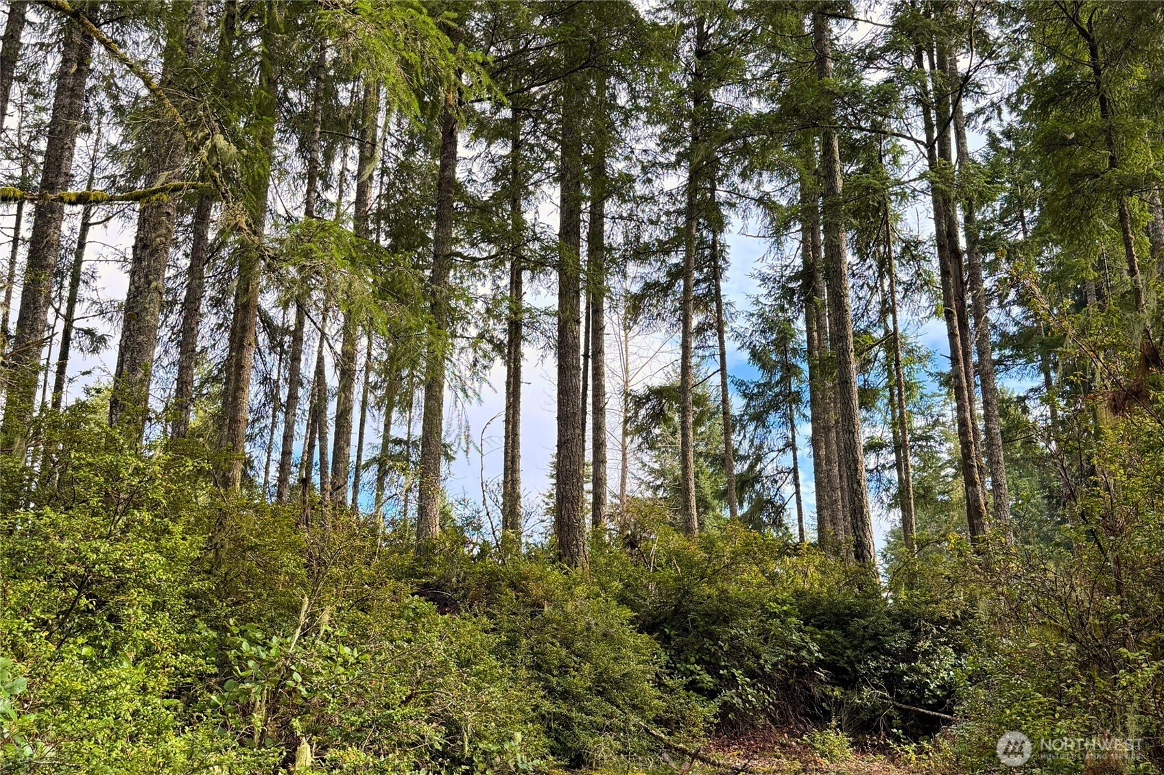 5011 E Rasor Road Belfair WA 98528