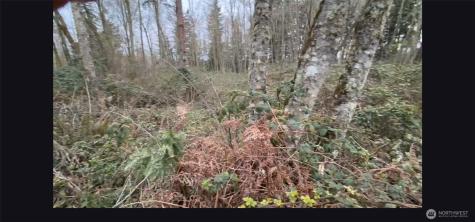 37116 E 103rd Avenue Court Eatonville WA 98328