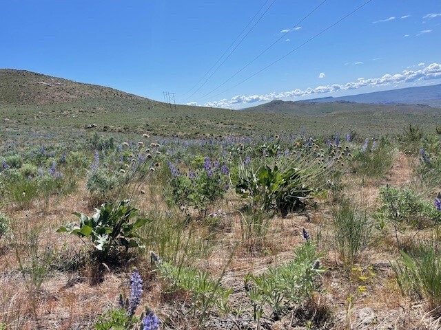 0 Bill Shaw Road Pateros WA 98834