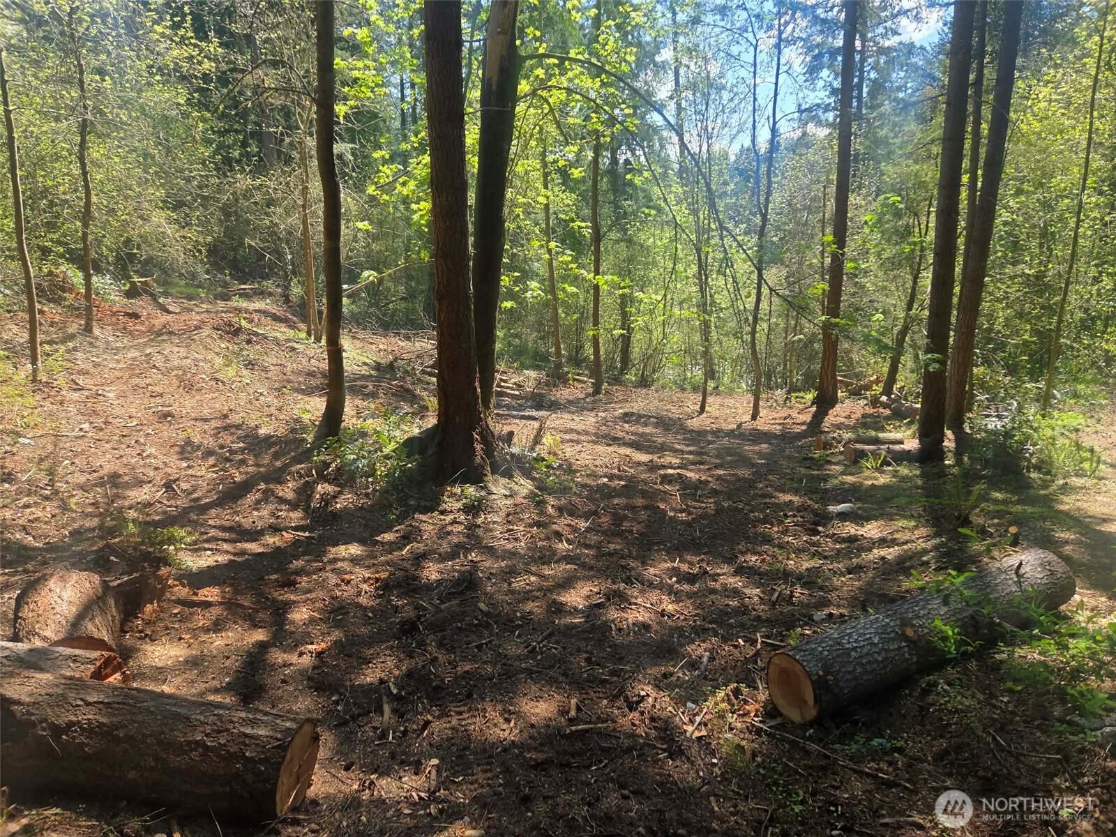 22439 Vale Court SE Yelm WA 98597