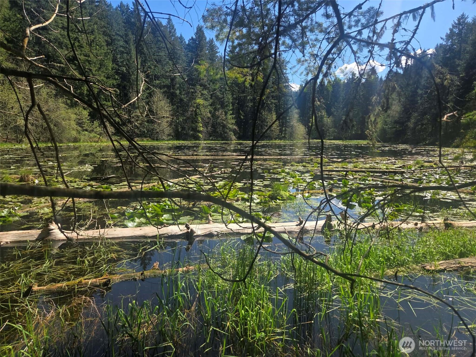 22439 Vale Court SE Yelm WA 98597