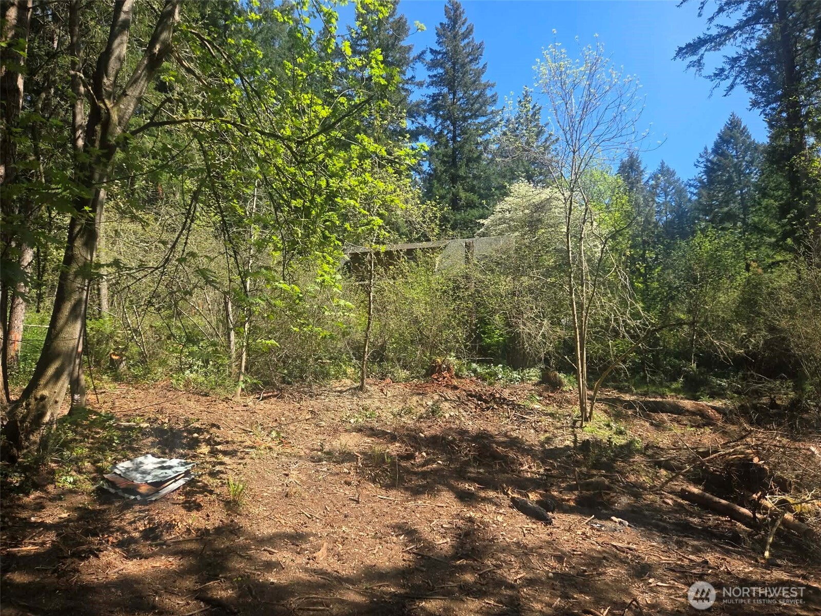 22439 Vale Court SE Yelm WA 98597