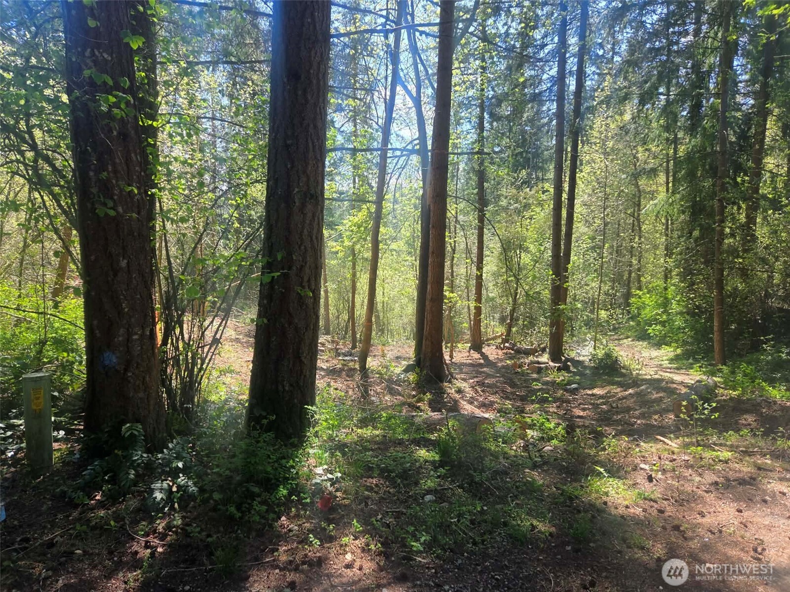 22439 Vale Court SE Yelm WA 98597