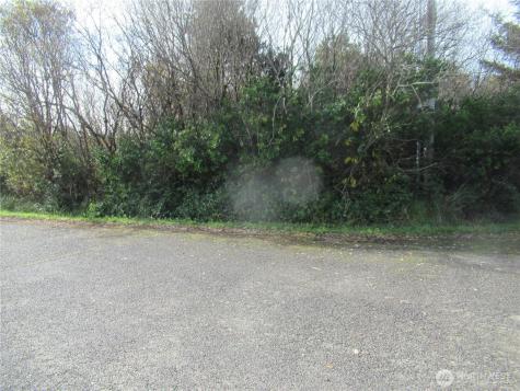 0 Driftwood Drive Drive Ocean Shores WA 98569