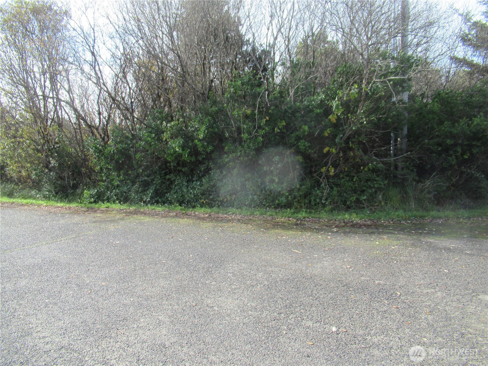 0 Driftwood Drive Drive Ocean Shores WA 98569
