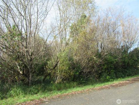 0 Driftwood Drive Drive Ocean Shores WA 98569