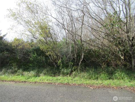 0 Driftwood Drive Drive Ocean Shores WA 98569