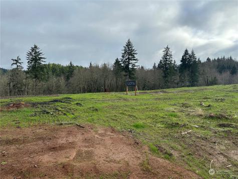 231 Ash Mountain Drive Castle Rock WA 98611