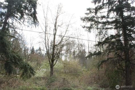 0 121 Street E Tacoma WA 98445