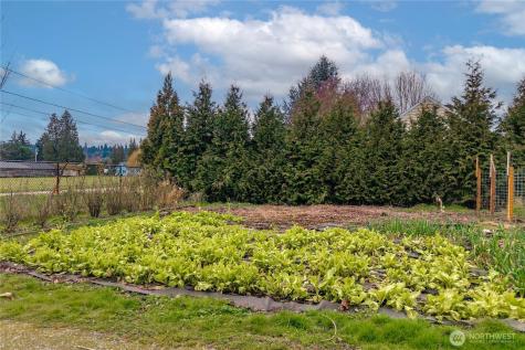 6905 60th St E Puyallup WA 98371