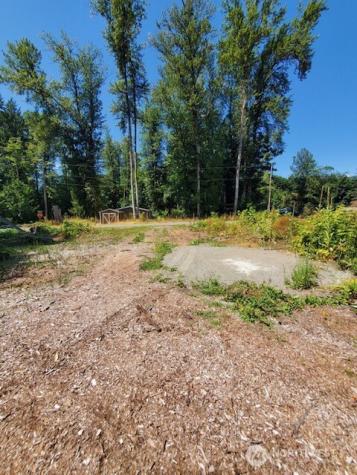 41644 Mountain View Lane Concrete WA 98237