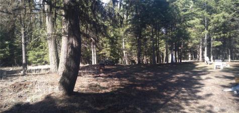 51 Trap Line Loop Road Oroville WA 98844