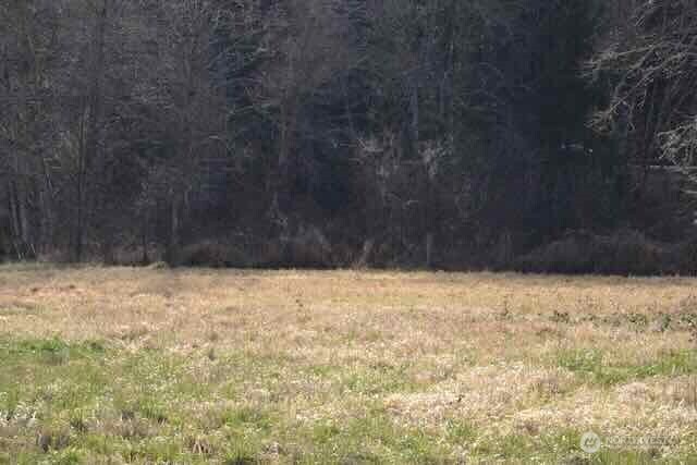 0 Us Highway 12 Morton WA 98356
