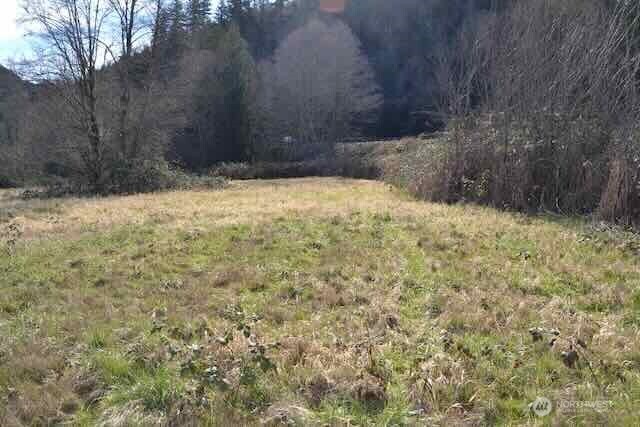 0 Us Highway 12 Morton WA 98356