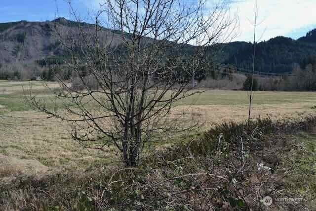 0 Us Highway 12 Morton WA 98356