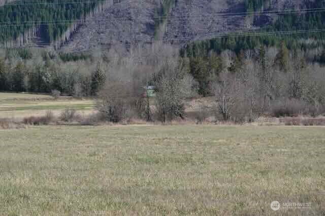 0 Us Highway 12 Morton WA 98356