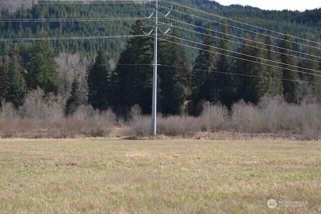 0 Us Highway 12 Morton WA 98356