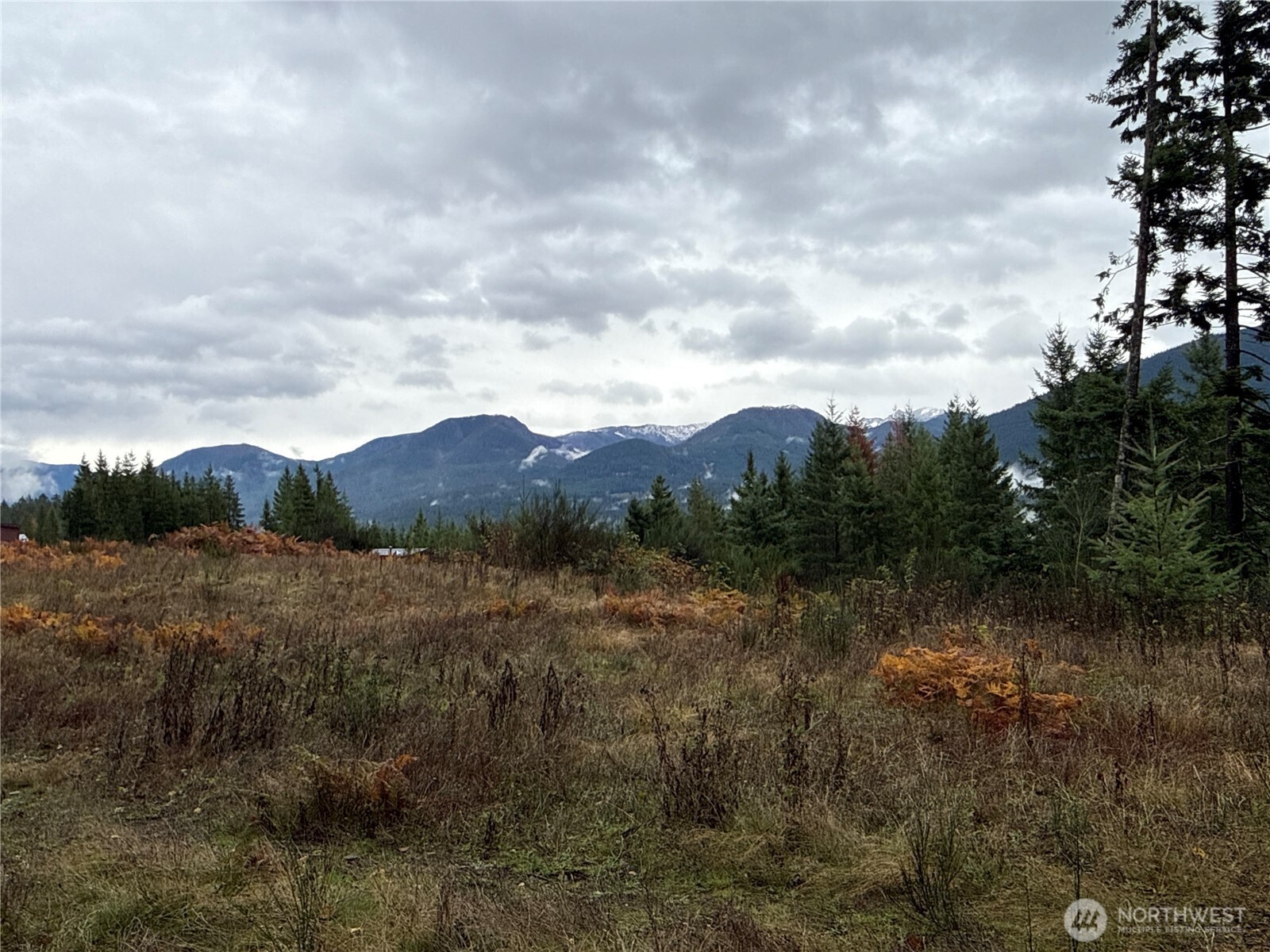 2 Forest Road 52 Packwood WA 98361