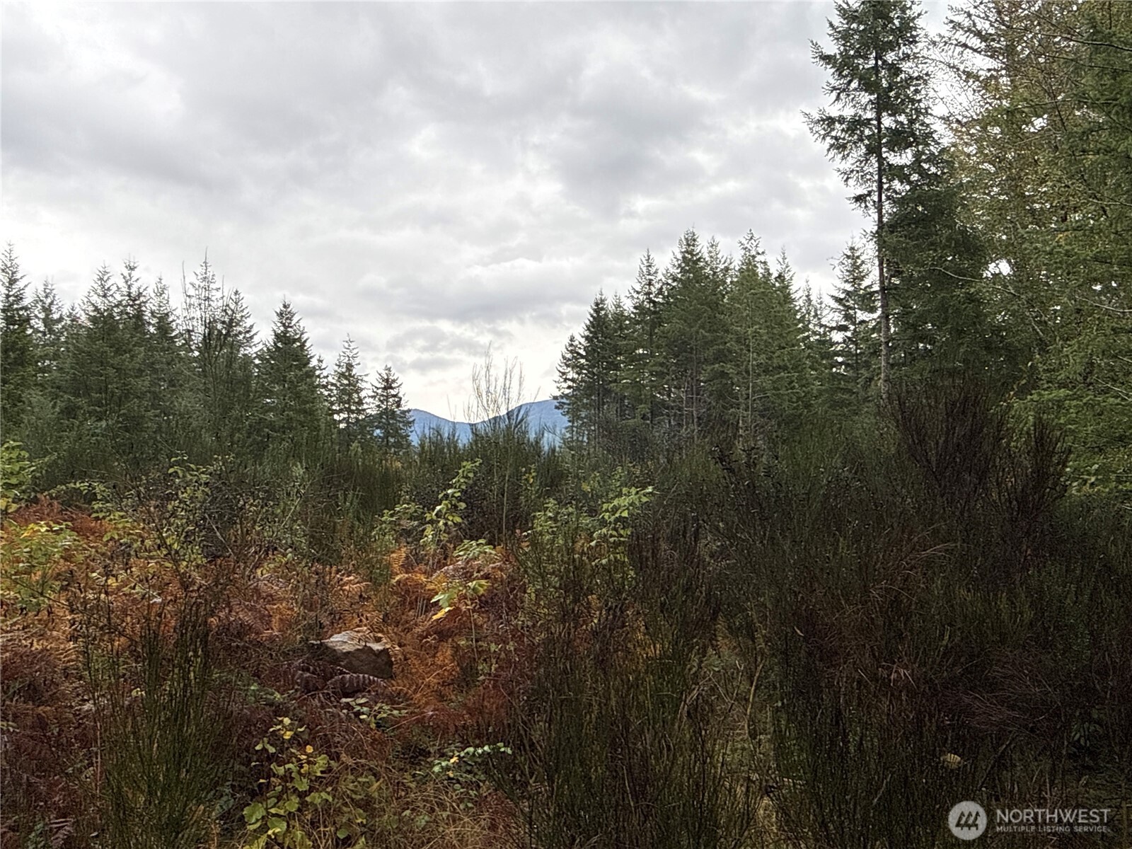 2 Forest Road 52 Packwood WA 98361