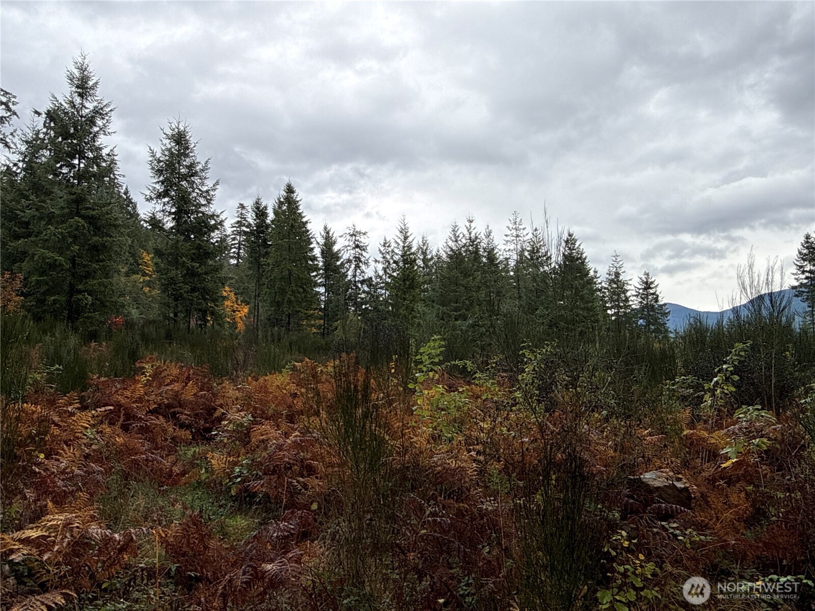 2 Forest Road 52 Packwood WA 98361