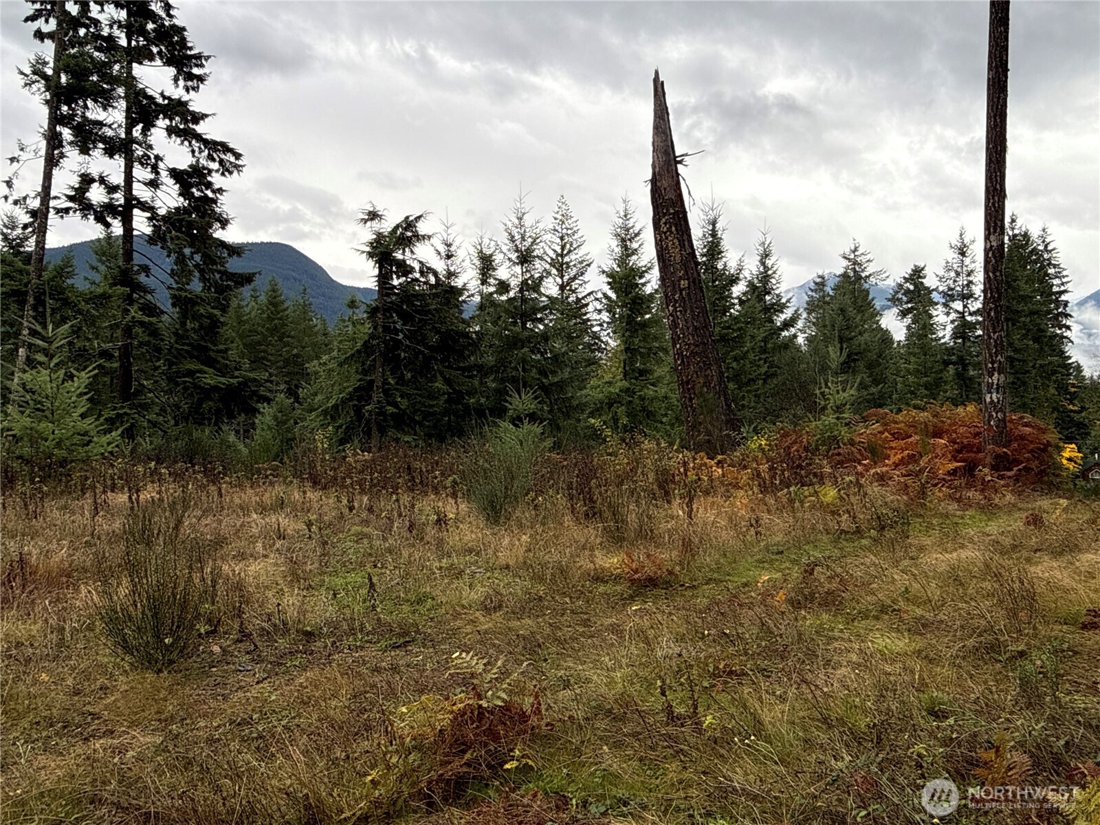 2 Forest Road 52 Packwood WA 98361