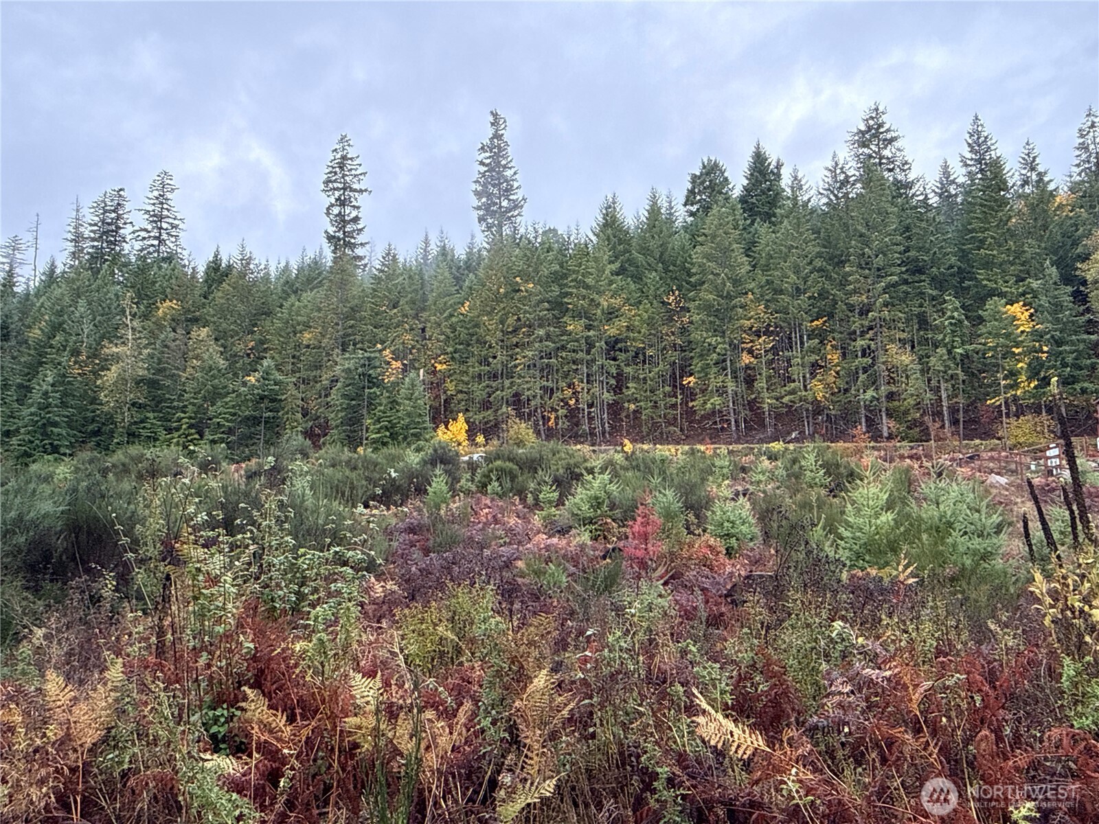 2 Forest Road 52 Packwood WA 98361