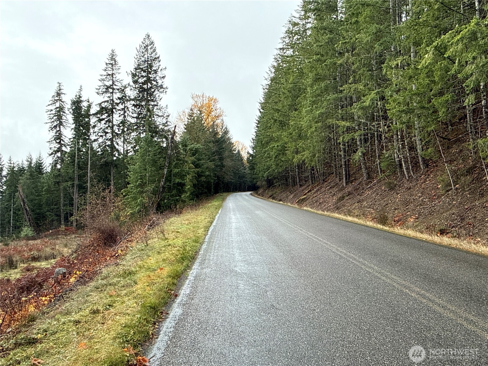 2 Forest Road 52 Packwood WA 98361