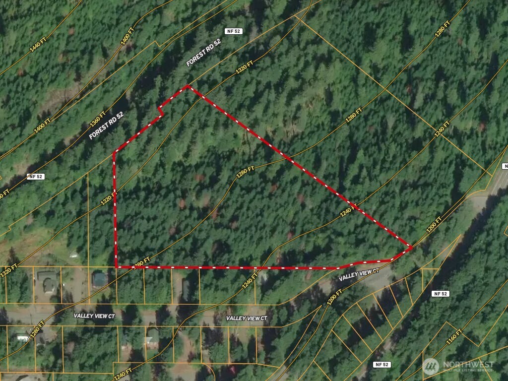 2 Forest Road 52 Packwood WA 98361