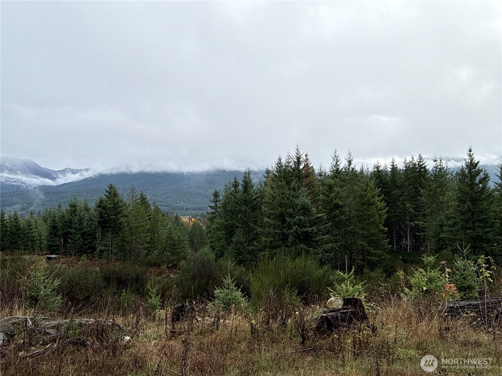 2 Forest Road 52 Packwood WA 98361