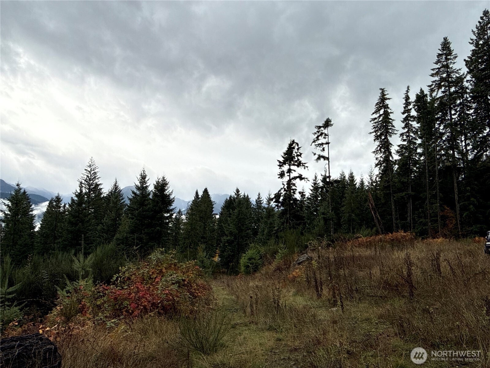 2 Forest Road 52 Packwood WA 98361