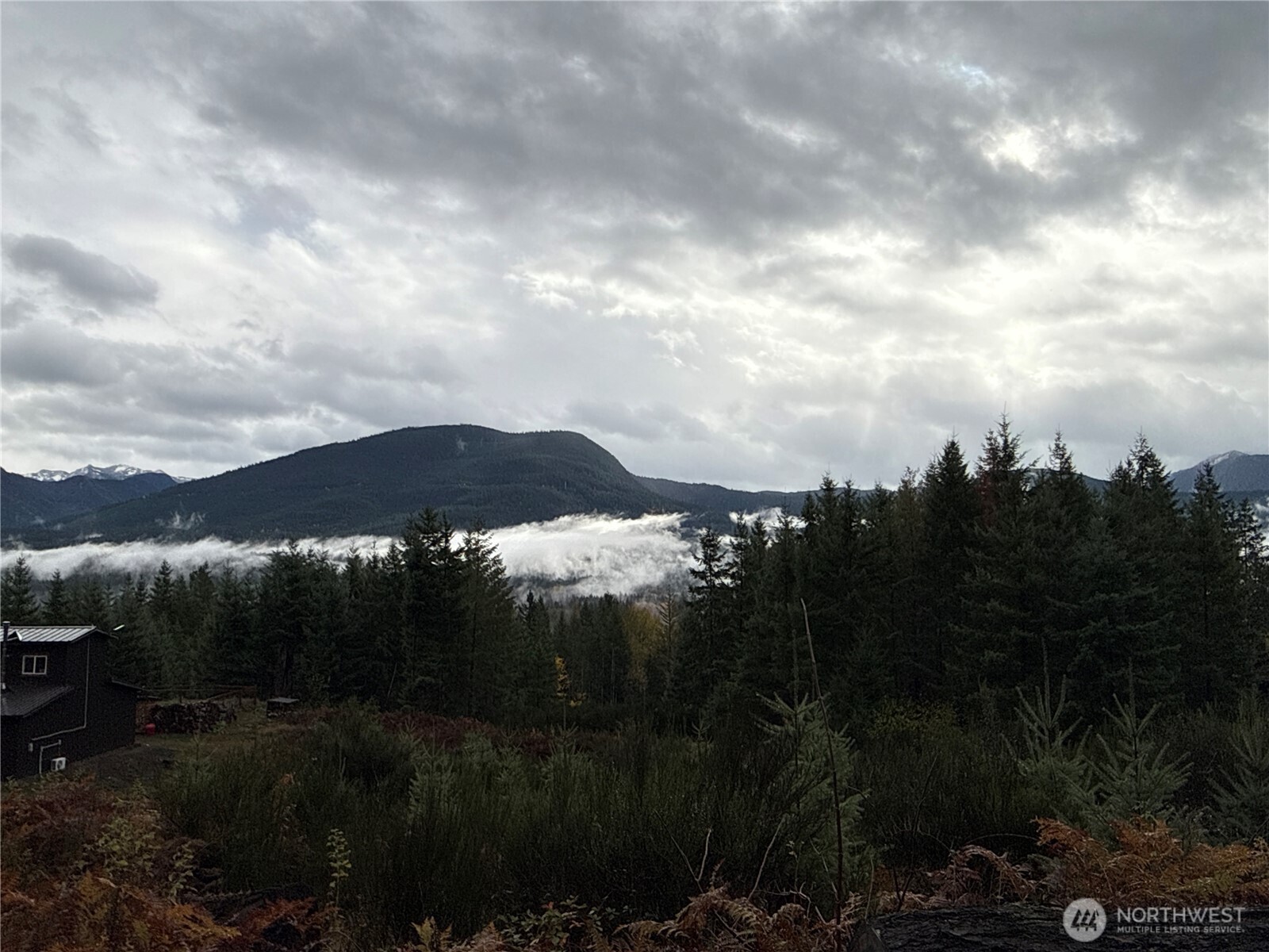 2 Forest Road 52 Packwood WA 98361