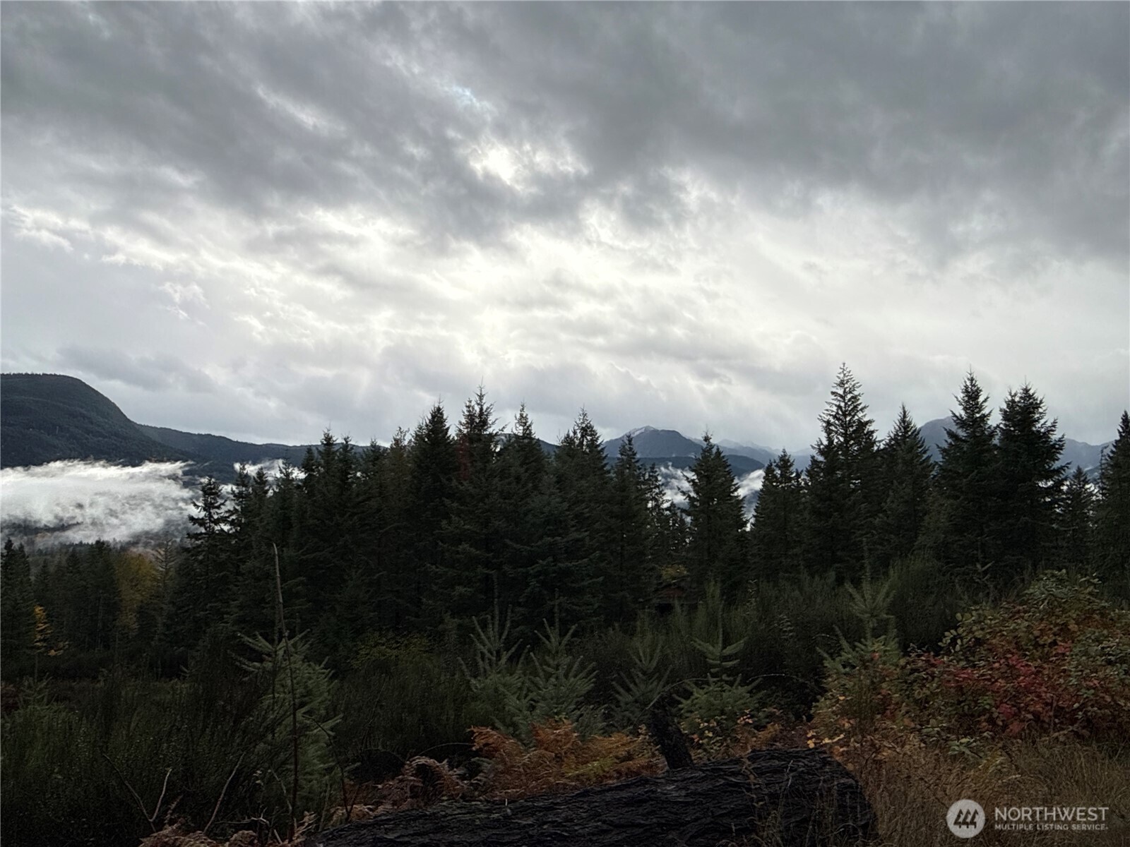 2 Forest Road 52 Packwood WA 98361