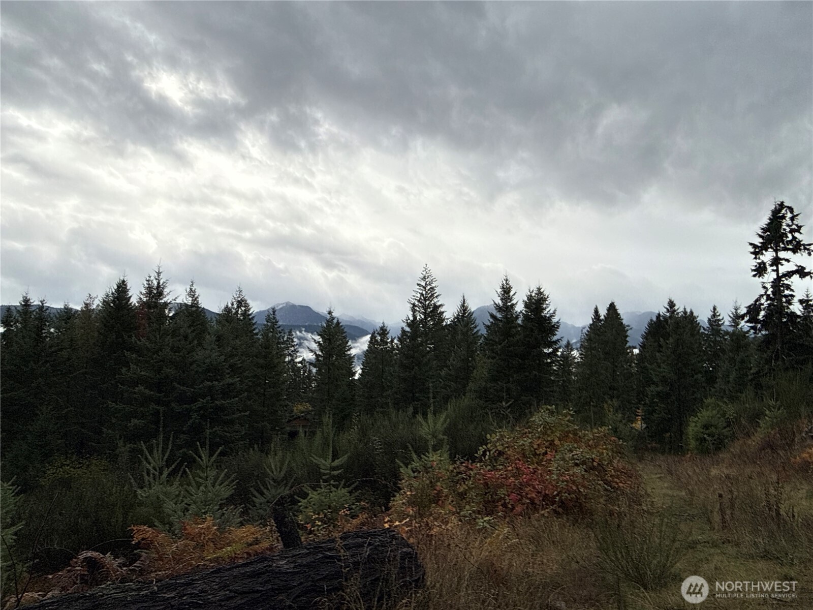 2 Forest Road 52 Packwood WA 98361