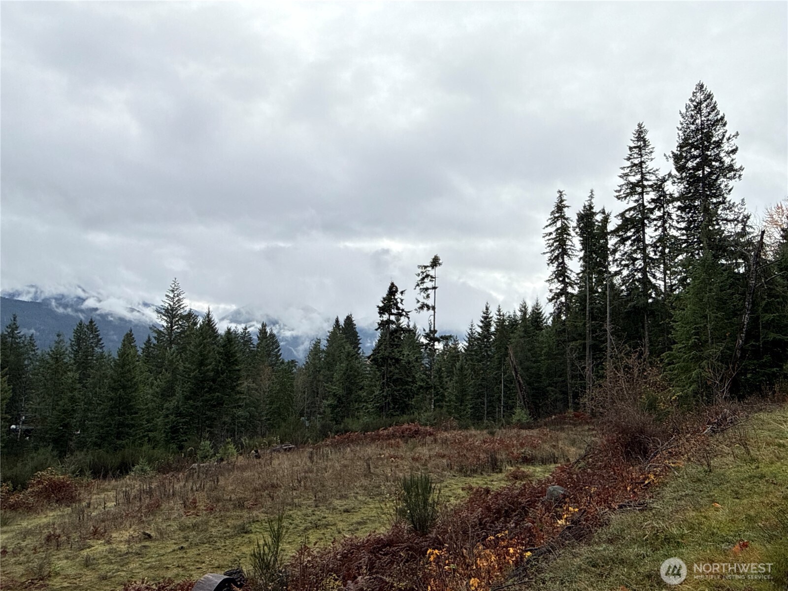 2 Forest Road 52 Packwood WA 98361