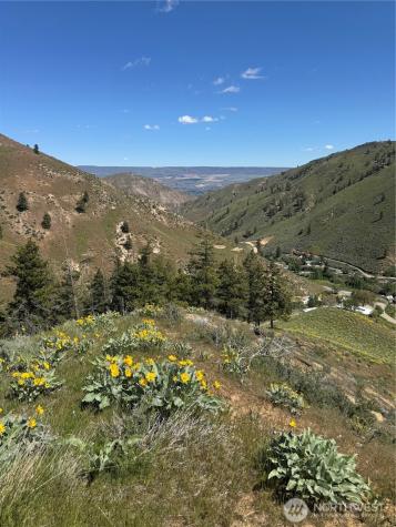 0 Uphill Lane Wenatchee WA 98801