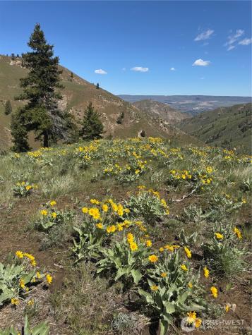 0 Uphill Lane Wenatchee WA 98801