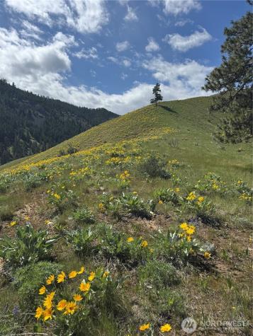 0 Uphill Lane Wenatchee WA 98801