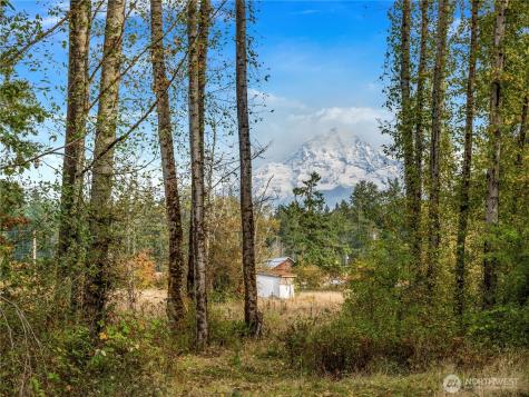 26202 110th Avenue E Graham WA 98338