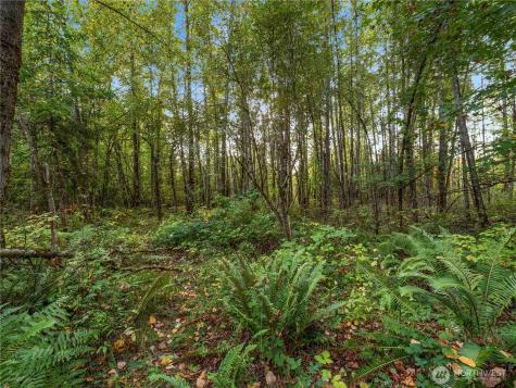 26202 110th Avenue E Graham WA 98338